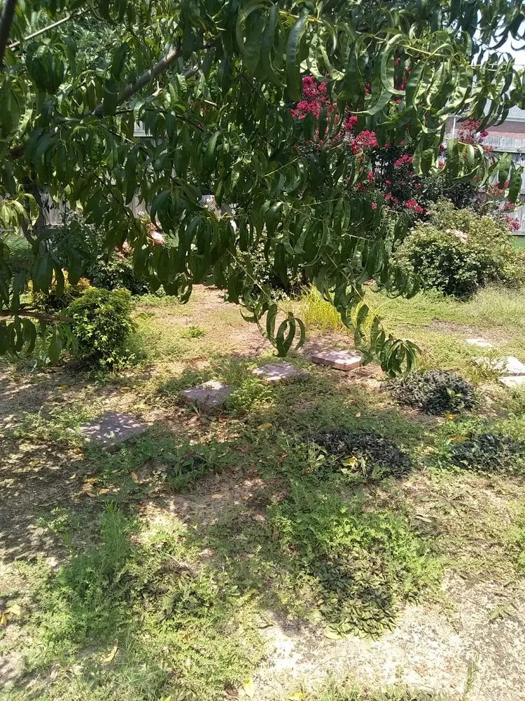 Professional landscape design in Rutherford, TN by Dianna's Dream Residential and Commercial Property Management