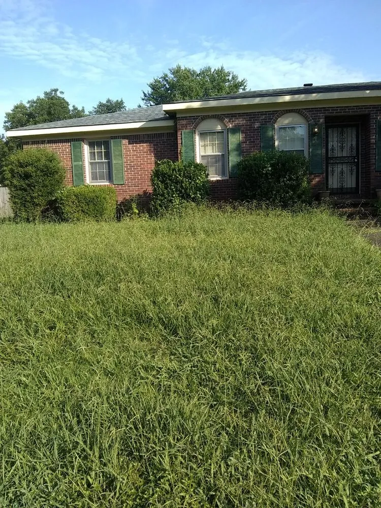Trusted garden landscaping experts serving Rutherford, TN - Dianna's Dream Residential and Commercial Property Management
