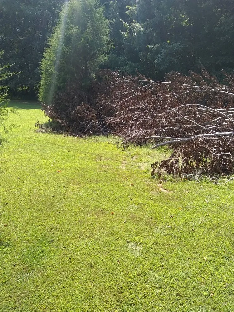 Professional landscape design in Rutherford, TN - Dianna's Dream Residential and Commercial Property Management