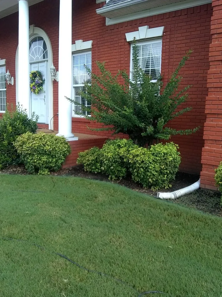 Reliable yard maintenance with custom design across Rutherford, TN - Dianna's Dream Residential and Commercial Property Management