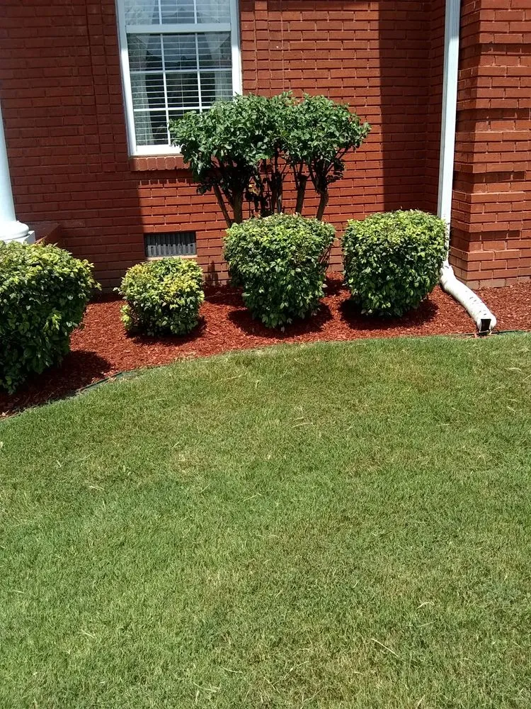 Expert garden landscaping for beautiful yards across Rutherford, TN - Dianna's Dream Residential and Commercial Property Management