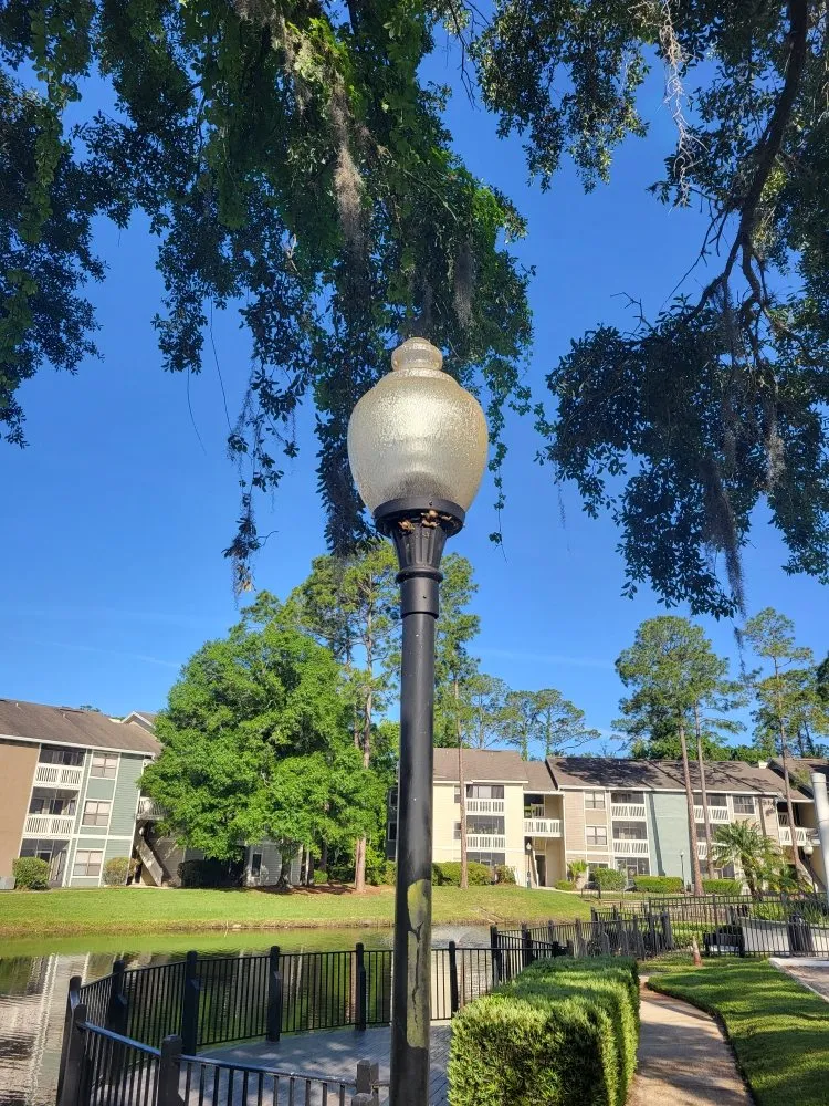 Custom yard cleanup service experts serving Orange Park, FL - Diaz & Diaz Multiservices