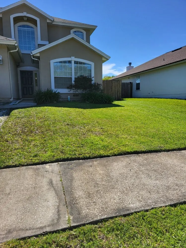 Local residential landscaping experts serving Orange Park, FL - Diaz & Diaz Multiservices