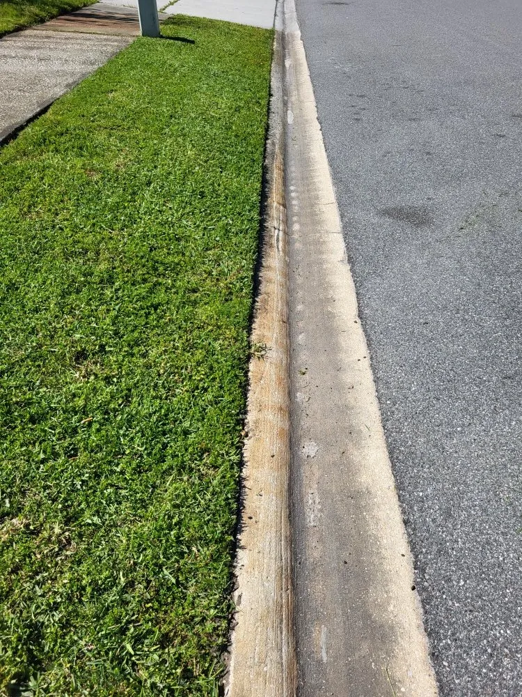 Professional outdoor landscaping with custom design in Orange Park, FL by Diaz & Diaz Multiservices