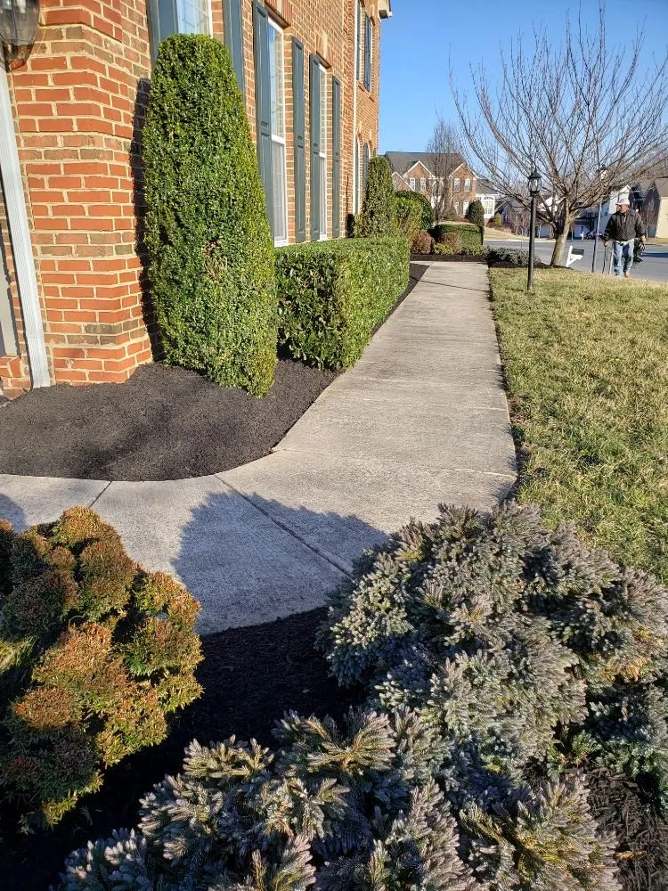 Local garden landscaping for year-round maintenance in Lanham, MD by Diaz & Sons Landscaping