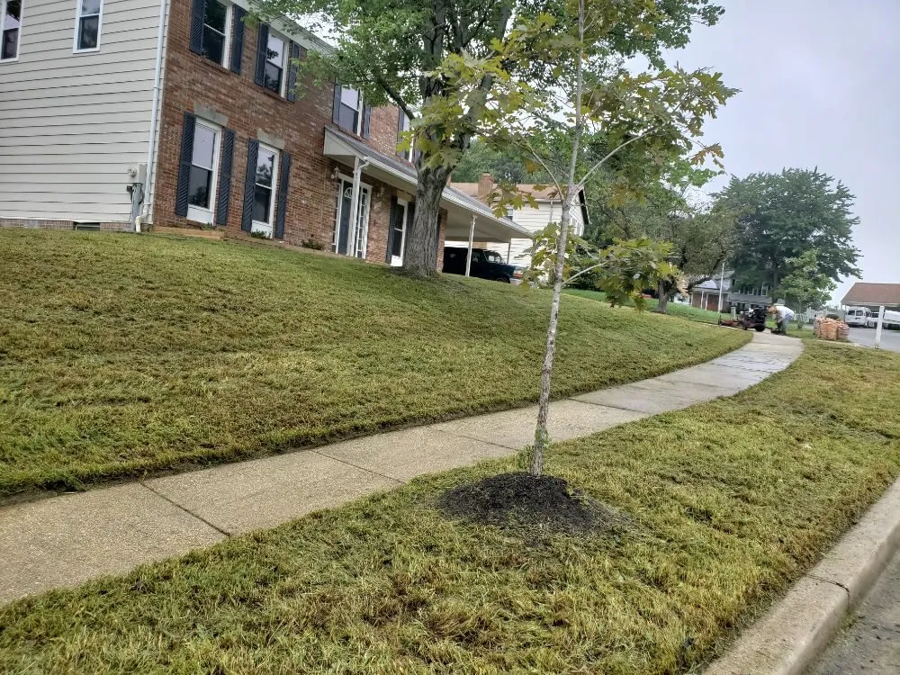 Custom landscape design in Lanham, MD - Diaz & Sons Landscaping