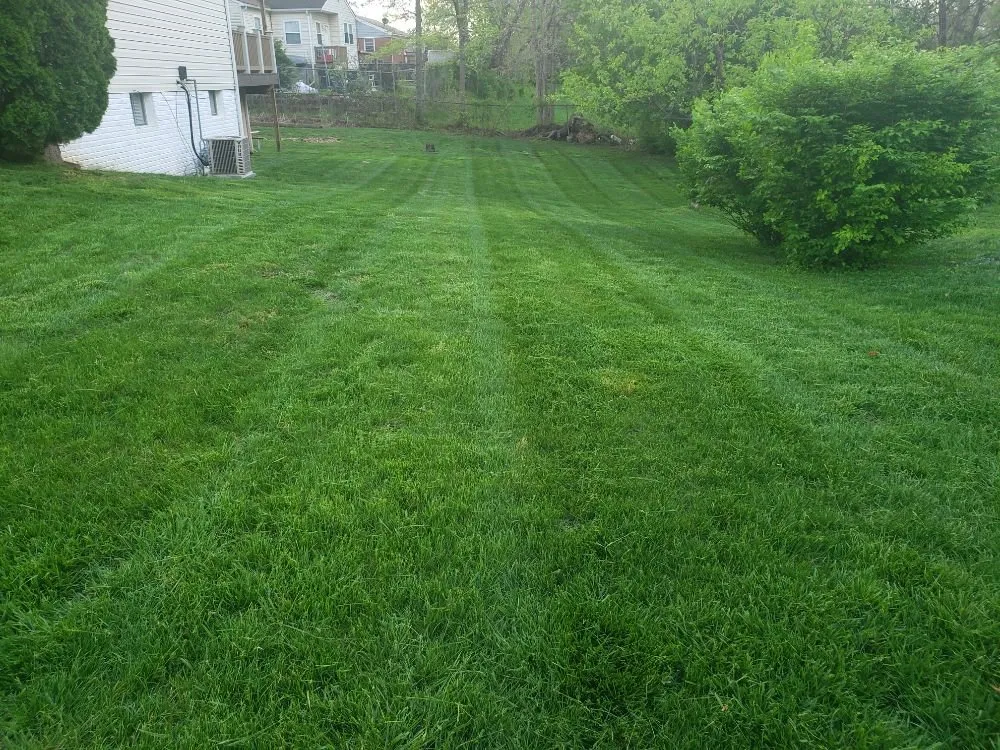 Top-rated yard cleanup service in Lanham, MD - Diaz & Sons Landscaping