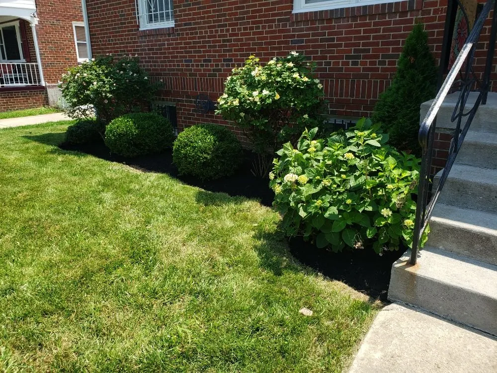 Local landscaping services in Lanham, MD by Diaz & Sons Landscaping