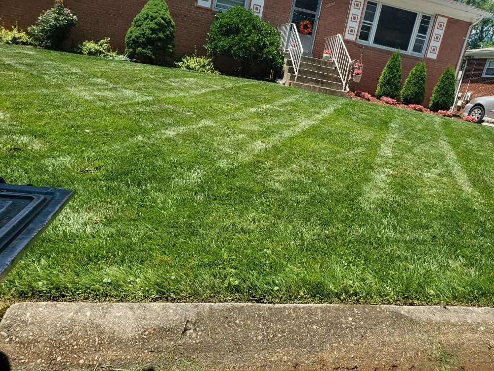 Custom landscaping services in Lanham, MD - Diaz & Sons Landscaping