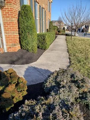 Diaz & Sons Landscaping Logo