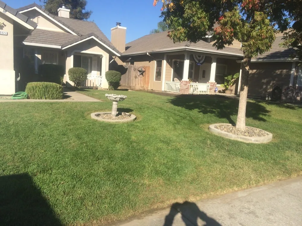 Affordable lawn mowing service in Turlock, CA by Diaz and Flores Landscape Maintenence
