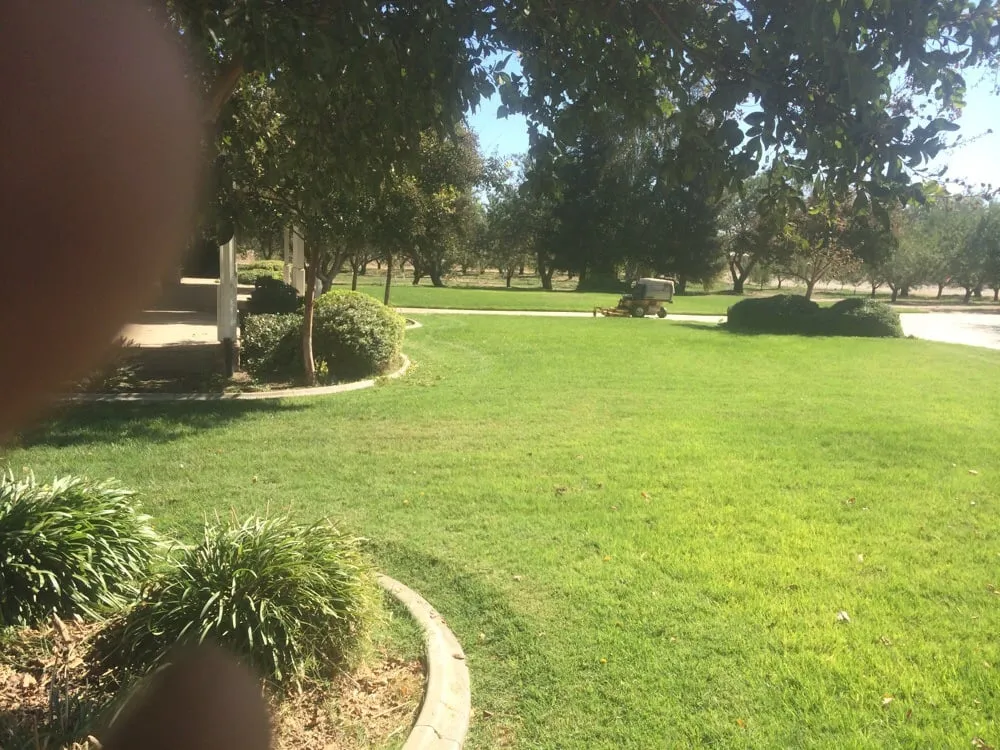 Professional yard cleanup service in Turlock, CA by Diaz and Flores Landscape Maintenence