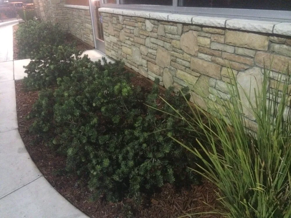 Custom lawn mowing service for beautiful yards in Turlock, CA by Diaz and Flores Landscape Maintenence