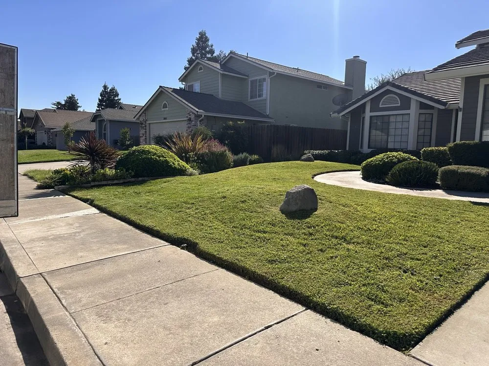 Top-rated yard cleanup service in Turlock, CA - Diaz and Flores Landscape Maintenence