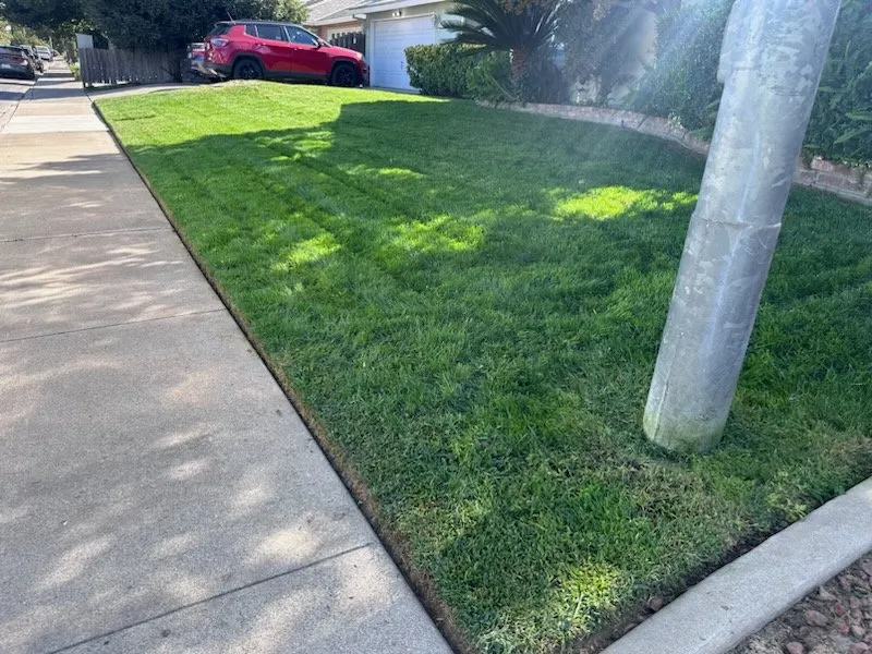 Expert residential landscaping experts serving Turlock, CA - Diaz and Flores Landscape Maintenence