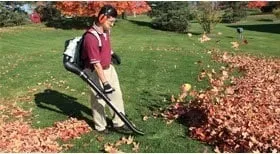 Reliable yard cleanup service for homes in Turlock, CA by Diaz and Flores Landscape Maintenence