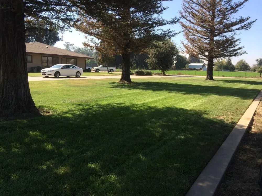 Top-rated residential landscaping in Turlock, CA - Diaz and Flores Landscape Maintenence