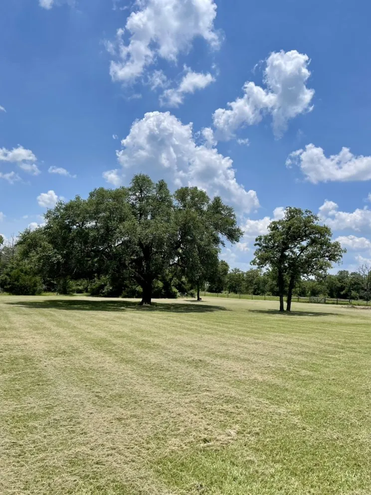 Local landscape installation for beautiful yards across Brenham, TX - Diaz Brothers