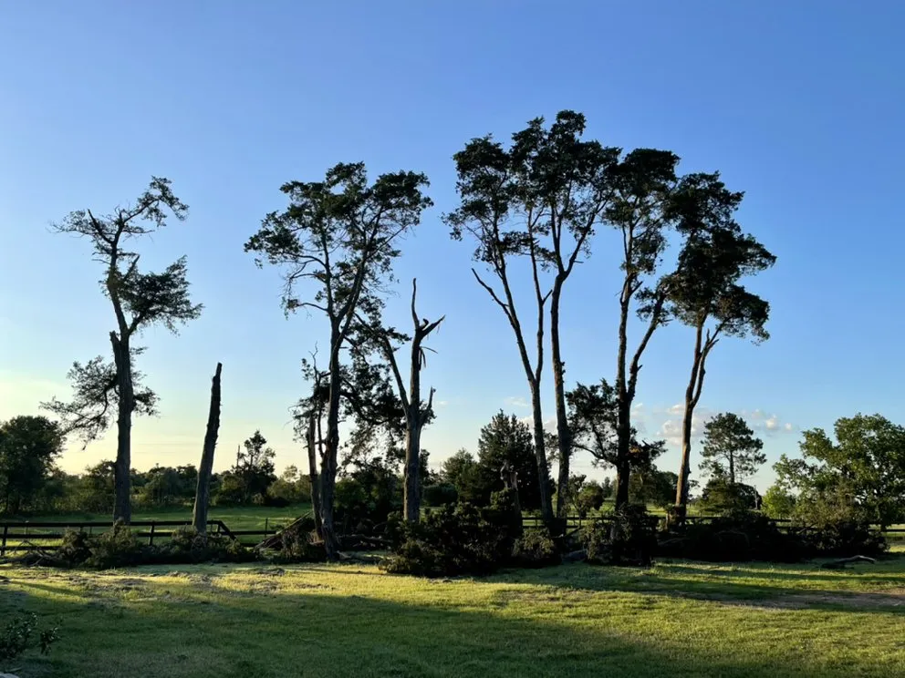 Local outdoor landscaping for year-round maintenance in Brenham, TX by Diaz Brothers