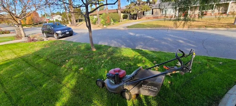 Trusted residential landscaping experts serving Pasadena, CA - Diaz Gardening & Landscaping