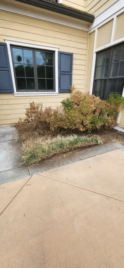 Affordable lawn mowing service experts serving Pasadena, CA - Diaz Gardening & Landscaping