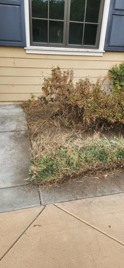 Reliable garden landscaping with custom design in Pasadena, CA by Diaz Gardening & Landscaping