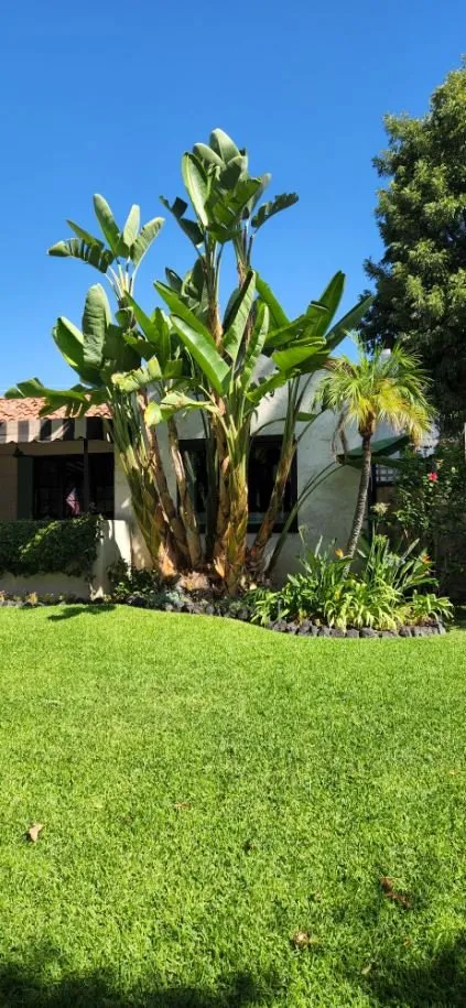 Trusted landscaping services in Pasadena, CA by Diaz Gardening & Landscaping