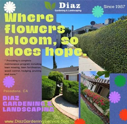 Diaz Gardening & Landscaping Logo