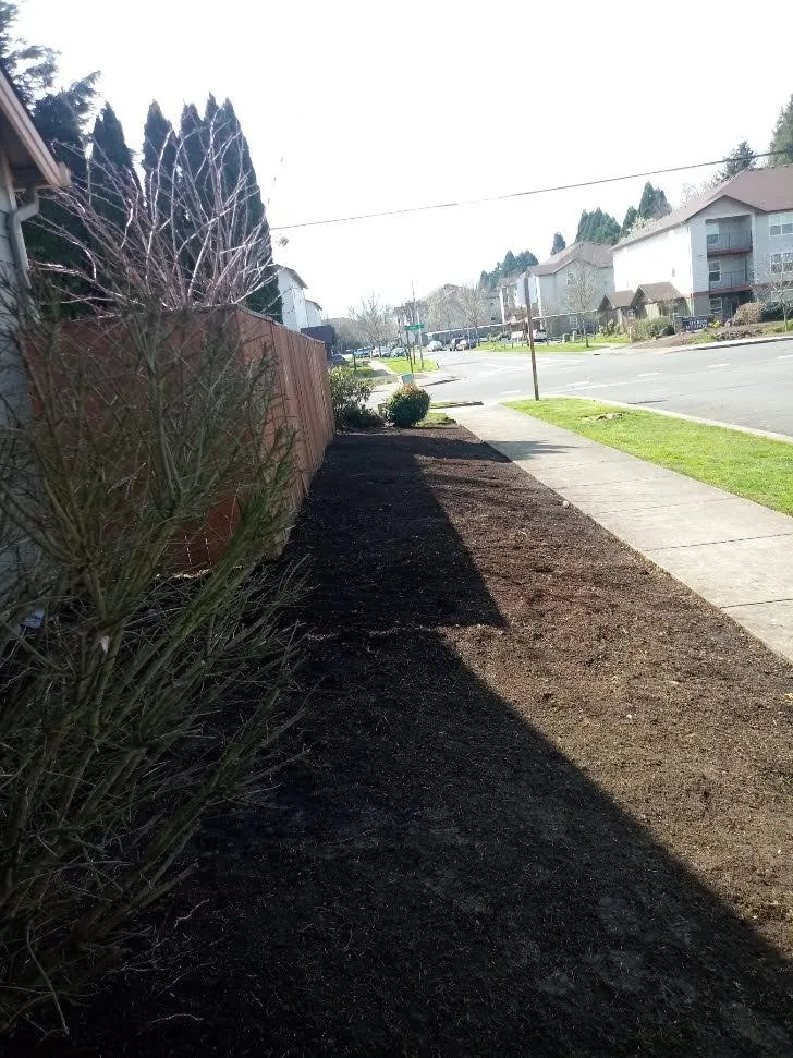 Trusted yard maintenance in Eugene, OR by Diaz Gardening Services