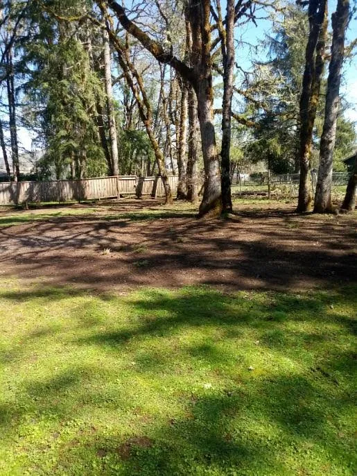 Reliable landscape design experts serving Eugene, OR - Diaz Gardening Services