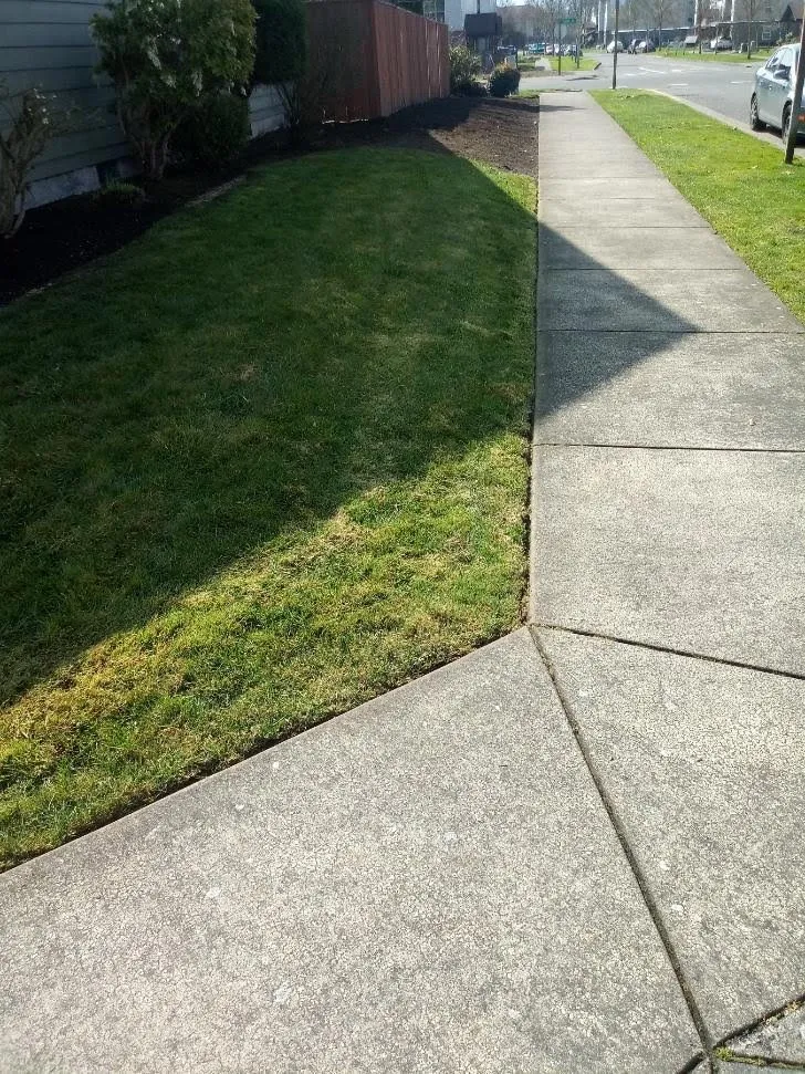 Reliable landscaping services in Eugene, OR by Diaz Gardening Services