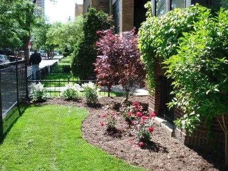 Trusted lawn care service experts serving Chicago, IL - Diaz Group