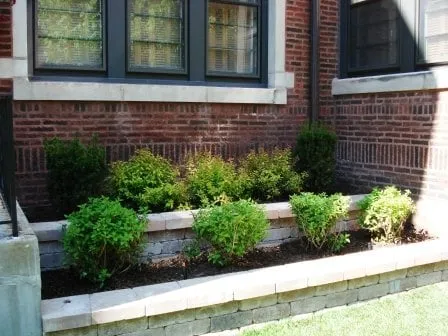 Expert landscaping services experts serving Chicago, IL - Diaz Group