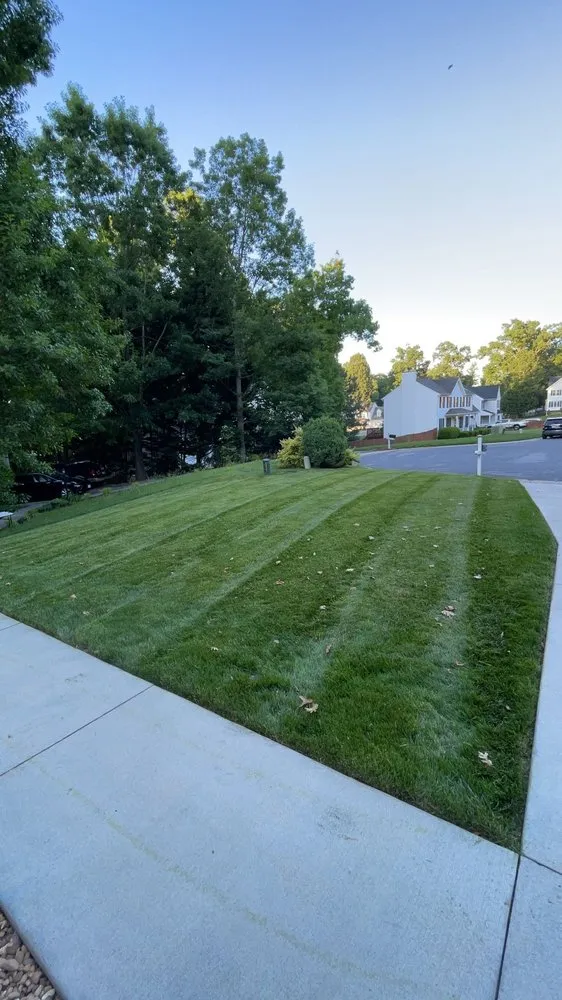 Professional landscape installation experts serving Midlothian, VA - Diaz Innovations