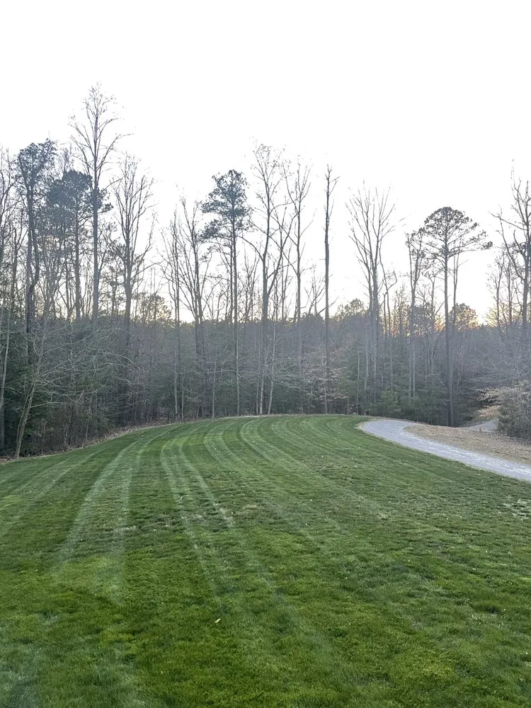 Local landscaping services for residential properties in Midlothian, VA by Diaz Innovations