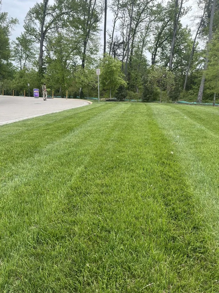 Reliable yard cleanup service in Midlothian, VA - Diaz Innovations