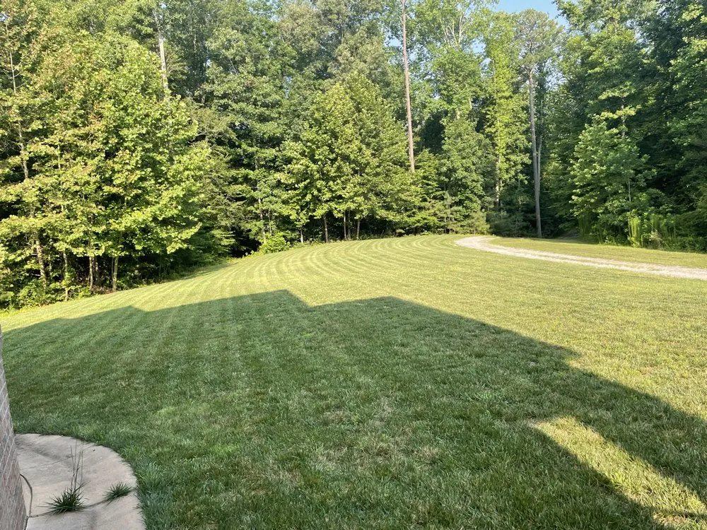 Affordable yard maintenance experts serving Midlothian, VA - Diaz Innovations