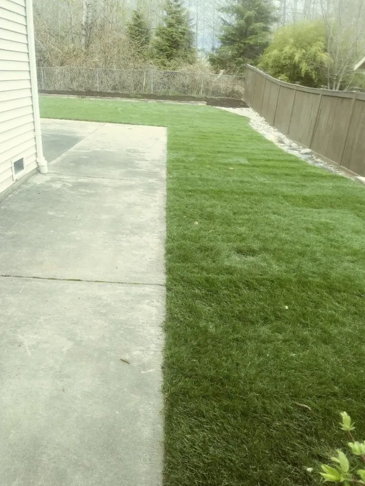 Local yard cleanup service experts serving Lake Stevens, WA - Diaz Landscape & Construction