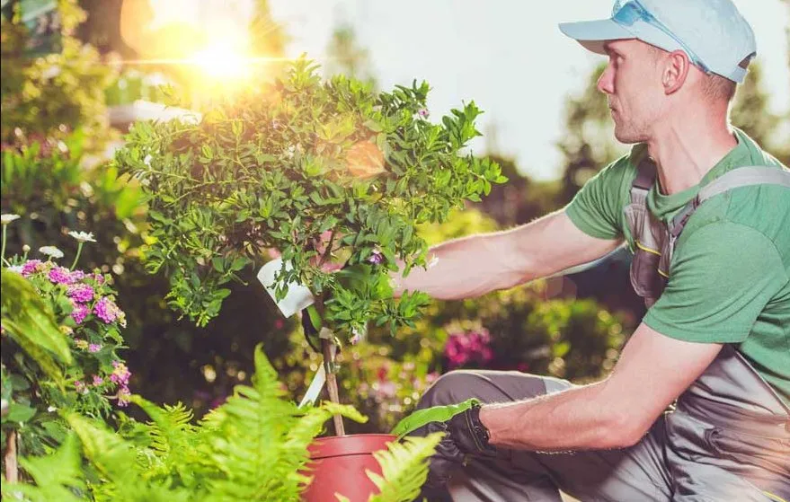 Custom garden landscaping in Exeter, CA by Diaz Landscape