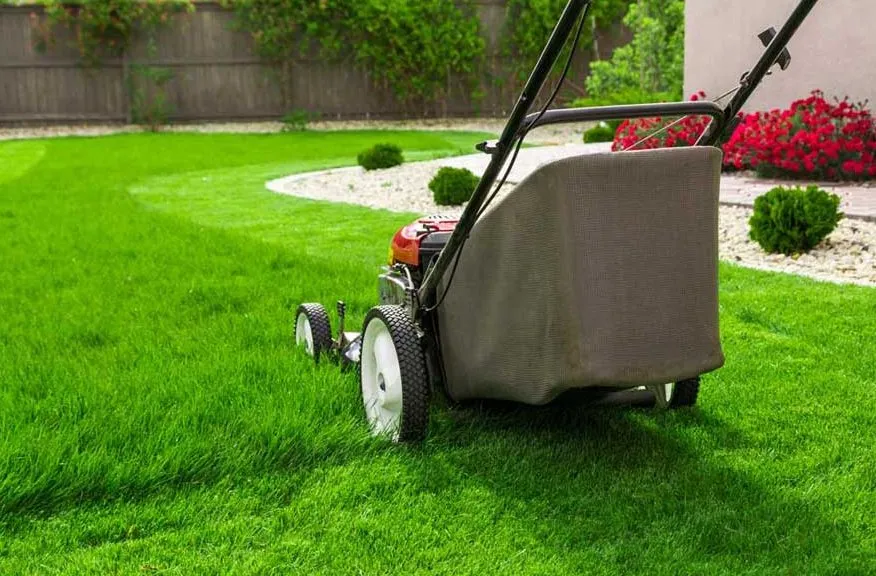 Affordable yard maintenance for homes across Exeter, CA - Diaz Landscape