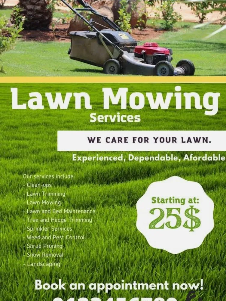 Expert yard cleanup service in Fresno, CA by Diaz Landscape