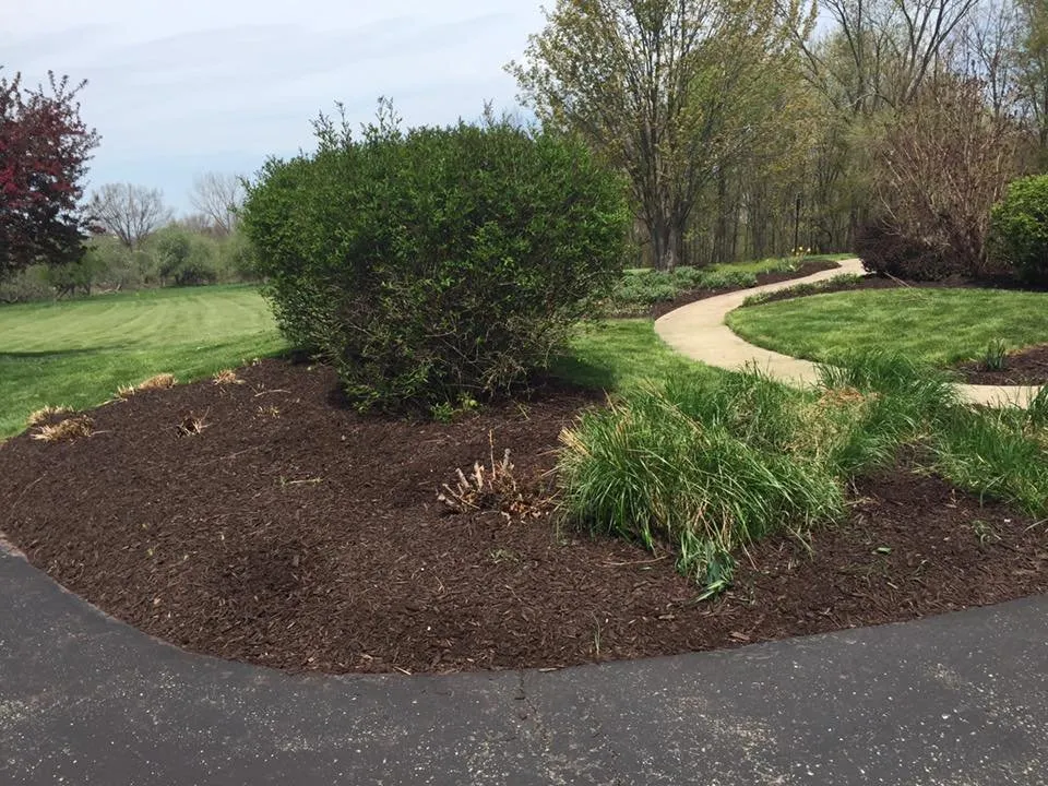 Local yard cleanup service in Holland, MI - Diaz Landscape