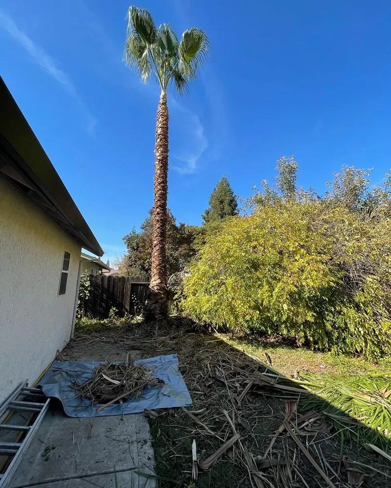 Affordable yard cleanup service experts serving Merced, CA - Diaz landscaping & installation