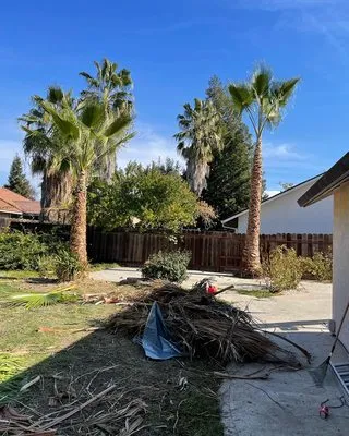 Diaz landscaping & installation Logo