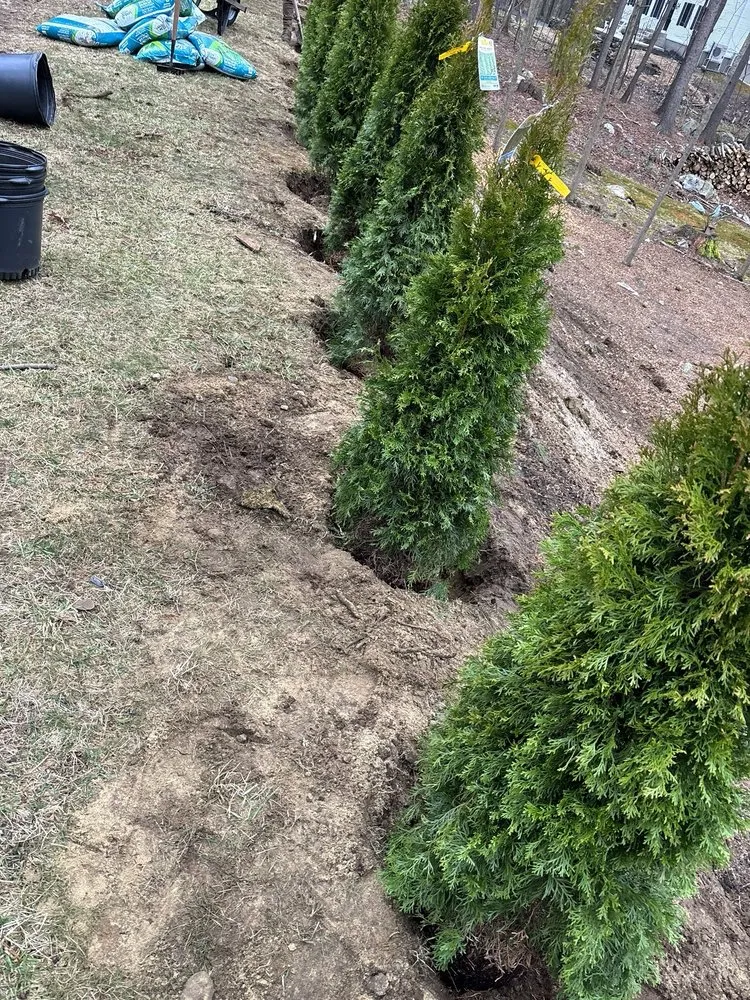 Trusted lawn mowing service with custom design across Acton, MA - Diaz Landscaping and Lawn Mowing