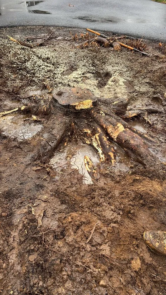 Top-rated landscaping services in Acton, MA - Diaz Landscaping and Lawn Mowing