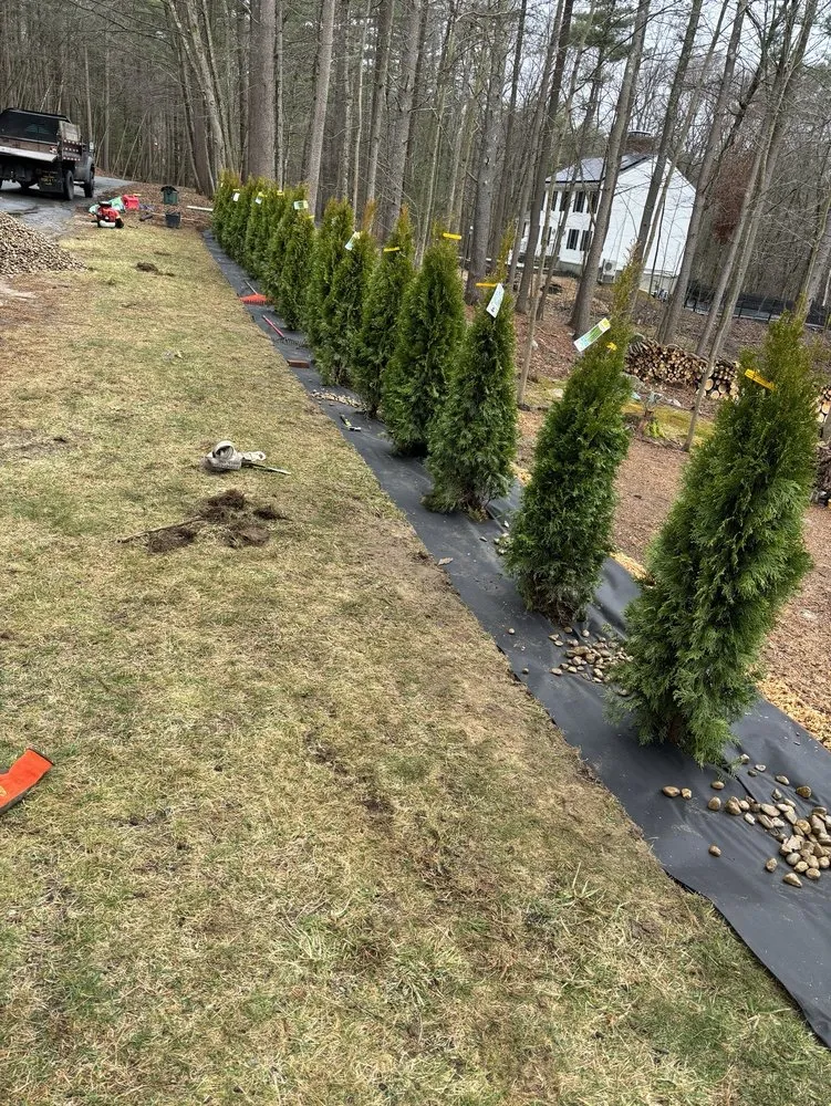 Top-rated lawn mowing service in Acton, MA by Diaz Landscaping and Lawn Mowing