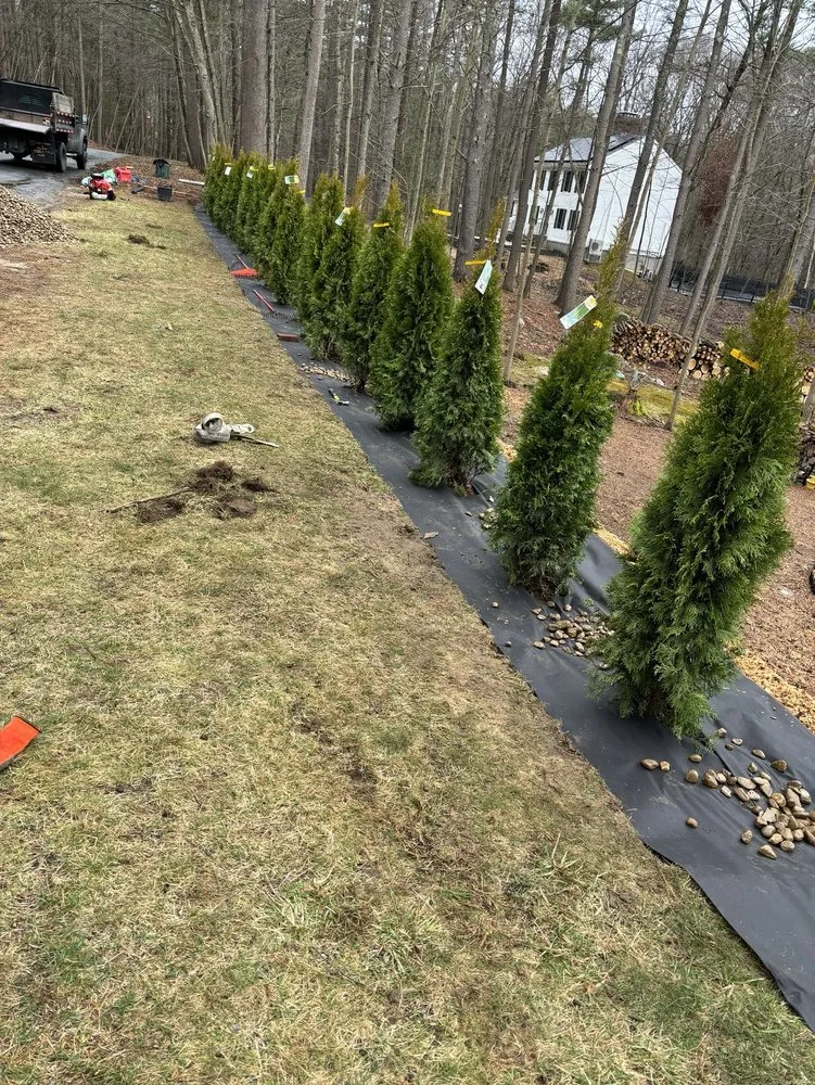 Affordable yard maintenance in Acton, MA - Diaz Landscaping and Lawn Mowing