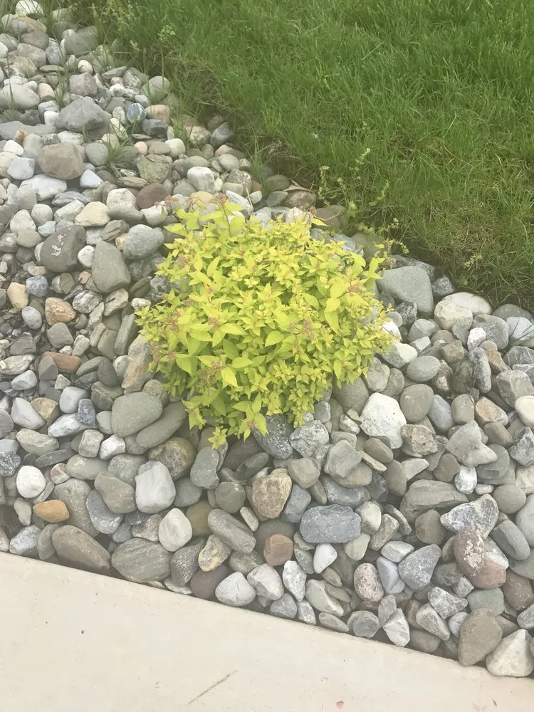 Professional landscaping services near you across Burtonsville, MD - Diaz landscaping