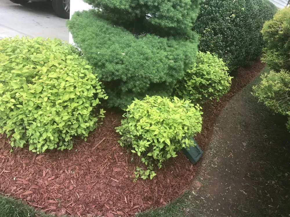 Reliable yard cleanup service experts serving Burtonsville, MD - Diaz landscaping
